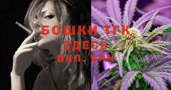 твердый Арсеньев